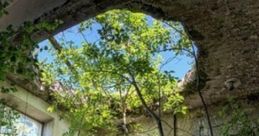 Fairies: Where The Fairies Lived "Where the Fairies Lived" is a whimsical concept often depicted in folklore, where fairies