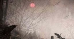 Barovia - Curse Of Strahd: A Spooky Background For When Your Players Enter Into The Town Of Barovia Barovia, introduced in