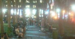 Quiet Street: Quiet Street Quiet Street: Quiet Street is an auditory experience featuring a blend of urban , including