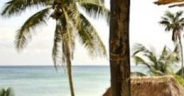 Tropical Getaway: The Beach Is Just A Daydream Away "Tropical Getaway: The Beach Is Just A Daydream Away" is an immersive