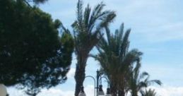Port Town: The Bustling Market By The Sea Port Town: The Bustling Market By The Sea is set in Las Orillas del Mar, a
