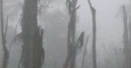 Swamp At Dusk "Swamp At Dusk" captures the mysterious atmosphere of wetlands during twilight. The cape features a rich