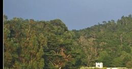 The Hill By The Church 'The Hill By The Church' captures the serene ambiance of a grassy hill adjacent to a church, where the