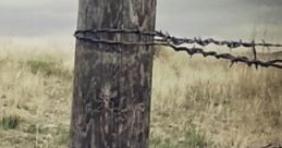 Country Thunderstorm Country Thunderstorm captures the serene yet powerful atmosphere of a rural setting during a