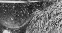 Rainy WWI Trenches (calm): A Lull In The Fighting And You're Hiding From The Rain "Rainy WWI Trenches (calm): A Lull In The