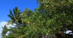 Just Of Beach: Pure Beach Just Of Beach: Pure Beach offers a of calming capes that replicate the serene ambiance of a beach