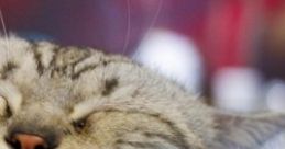 Cozy Cat Cafe The 'Cozy Cat Cafe' cape captures the soothing ambiance of a small coffee house, featuring the gentle purring