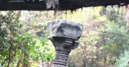Adventureland Jungle Cruise: Jungle Cruise Be adventurous and see the jungle wildlife with a knowledgeable tour guide at