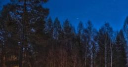 Cabin In The Mountain Woods: Relaxing Night Inside Your Warm Cozy Cabin. The of nature around and inside your place of