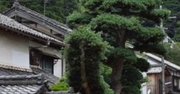 Summer In Japanese Countryside: Kimochi Desu Ne ? "Summer In Japanese Countryside: Kimochi Desu Ne?" captures the serene