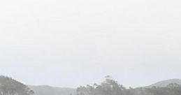 At Home On The CA Coast: Sunny Day In A Coastal Town "At Home On The CA Coast: Sunny Day In A Coastal Town" captures the