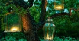 Outside: Let Us Be Outside "Outside: Let Us Be Outside" is an immersive audio experience designed to connect listeners with