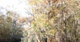Campfire By River "Campfire By River" is an immersive experience that captures the serene ambiance of nature. Users can