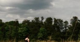 Summer Field Approaching Storm: Of An Impending Storm Among The Fields Of Grain "Summer Field Approaching Storm: Of An