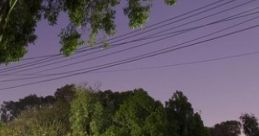 Sleeping With The Window Open: Of Summer In The Suburbs "Sleeping With The Window Open: Of Summer In The Suburbs" captures