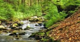 Fairy Lands: Midsummer "Fairy Lands: Midsummer" is a soothing audio experience designed to enhance relaxation during baths or