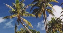 Island Jungle: Caribbean Island Jungle Island Jungle: Caribbean Island Jungle is an immersive audio experience designed to
