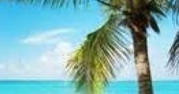 Sunny Beach Sunny Beach is a popular coastal destination known for its vibrant atmosphere and beautiful sandy shores. Located