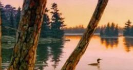 Summernight Near The Lake: Campsite Beside The Lake Summernight Near The Lake is an immersive audio experience designed for