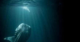 Underwater : Song Of The Sea "Underwater: Song of the Sea" is an immersive experience that captures the enchanting acoustics