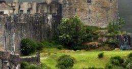 Harp In The Rain "Harp in the Rain" is a soothing cape that combines the gentle melody of a Celtic harp with the ambient