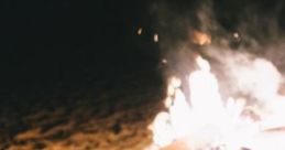 Quiet Bonfire Beach Party: Outskirts Of A Bonfire Beach Party The "Quiet Bonfire Beach Party" captures the serene ambiance