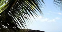 Morning Tropical Beach: Early Morning On A Tropical Beach "Morning Tropical Beach: Early Morning On A Tropical Beach"