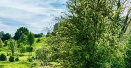 The Beginning Of The Adventure: Calm Meadows Ahead "The Beginning Of The Adventure: Calm Meadows Ahead" is an immersive audio