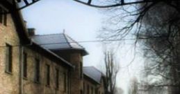 Auschwitz, The Camp Of Death: Nazi Concentration Camp Auschwitz, established in 1940, was the largest Nazi concentration