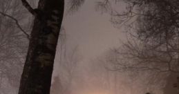 A Night At A Haunted Cemetery: The Haunted Cemetery A Night At A Haunted Cemetery is an immersive audio experience designed