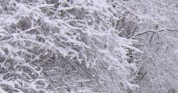 Snowy Bliss Snowy Bliss is a curated cape featuring serene winter-themed audio samples designed to evoke the tranquility