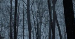 The Night Court: A Night In Fae-Haunted Woods The Night Court: A Night In Fae-Haunted Woods is an immersive audio