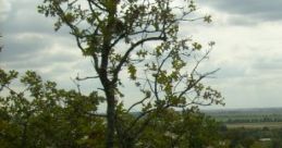 Night On The Edge Of Town: On The Edge Of Town But Still In The Country "Night On The Edge Of Town: On The Edge Of Town But