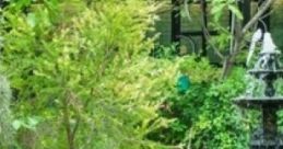 Study Place Outdoors: A Calm Place To Study Outdoors Study Place Outdoors offers a serene environment for studying, featuring