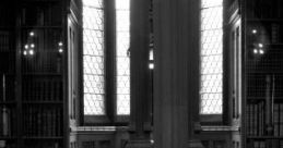 Cotton's Library, 1638: England's Most Important Manuscript Library -- On A Particularly Dark And Wet October Evening