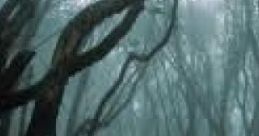 Ethereal Rain: Relaxing 'haunted' Rainy Forest. "Ethereal Rain: Relaxing 'Haunted' Rainy Forest" invites listeners to immerse