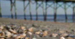 Holden Beach Holden Beach is a serene coastal town located in North Carolina, renowned for its family-friendly atmosphere and