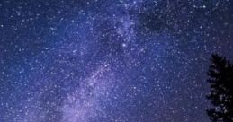 Chirping Windy Night: Crickets, Rustling, Wind. Experience the serene ambiance of a "Chirping Windy Night," where the