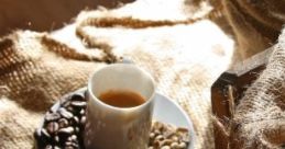 Our Book Cafe Our Book Cafe is a cozy haven for book lovers and food enthusiasts alike. Here, you can enjoy freshly brewed