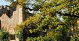 Manor Grounds: Stroll Around The Manor Manor Grounds: Stroll Around The Manor offers a serene escape into nature, perfect for