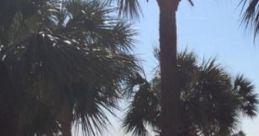 Hilton Head Island, South Caro: Sitting On A Swing On Hilton Head Island Experience the serene ambiance of Hilton Head