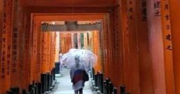 Walking In Japan Walking in Japan offers a serene experience, allowing visitors to immerse themselves in the beauty of the