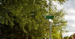 Suburb Summer Day Suburb Summer Day is a rich audio capturing the essence of suburban life during the summer months. The