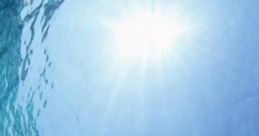 Fish's Life: The Daily Of A Fish "Fish's Life: The Daily Of A Fish" is an atmospheric audio template created for a tech