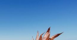 Tropical Beach Ambiance: Listen To The Pure Of The Beach. Tropical Beach Ambiance: Listen To The Pure Of The Beach is an