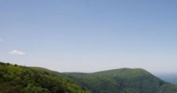 North Georgia Hike Experience the natural beauty of the North Georgia mountains through immersive capes featuring local