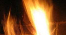 Books And Tea By The Fire: Books And Tea By The Fire - Low Intensity "Books And Tea By The Fire: Low Intensity" offers a