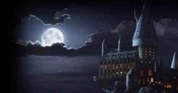 Studying In Hogwarts Library: Hogwarts Library Ambience Studying in the Hogwarts Library offers a unique ambience,