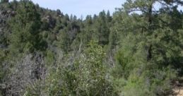 Rural Mountain Rural Mountain evokes the serene atmosphere of summer in mountainous landscapes, enriched by ambient like