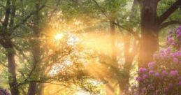 Among Green Giants "Among Green Giants" is a poetic exploration of the tranquility found in nature, particularly within